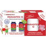 Pachet Parasites 12 Detox Forte, Herbagetica, 60 + 60 capsule si Cana Cadou, 1 pachet