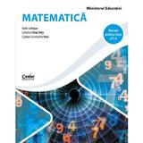 Matematica - Clasa 5 - Manual - Radu Gologan, Camelia Elena Neta, Ciprian Constantin Neta, editura Corint