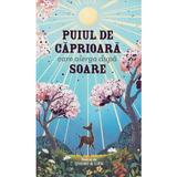 Puiul de caprioara care alerga dupa soare - Joanna McInerney, editura Rp Editor