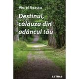 Destinul, calauza din adancul tau - Viorel Neacsu, editura Letras