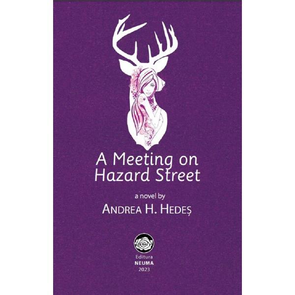 A Meeting On Hazard Street - Andrea H. Hedes, Editura Neuma