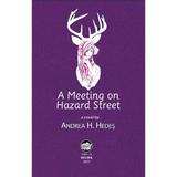 A Meeting On Hazard Street - Andrea H. Hedes, Editura Neuma