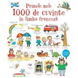 Primele mele 1000 de cuvinte in limba franceza, editura Litera