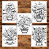 carte-de-colorat-pentru-adulti-50-de-ilustratii-bonsai-106-pagini-4.jpg