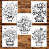 carte-de-colorat-pentru-adulti-50-de-ilustratii-bonsai-106-pagini-5.jpg