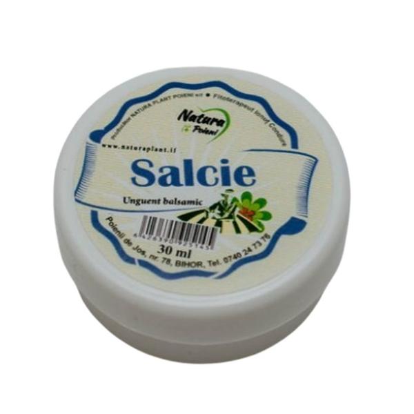 Unguent Balsamic cu Salcie - Natura Plant Poieni, 30 ml