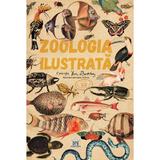 Zoologia ilustrata - Maria Carmen Soria, editura Didactica Publishing House