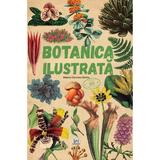 Botanica ilustrata - Maria Carmen Soria, editura Didactica Publishing House