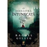 O fereastra intunecata. Seria Regele pastor Vol.1 - Rachel Gillig, editura Storia Books