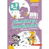 Caiet pentru Stimularea Imaginatiei 5-7 Ani. Grupa Mare Si Cls. Pregatitoare - Nicoleta Din, Editura Paralela 45