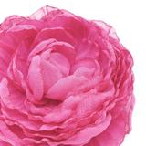 brosa-eleganta-bujor-mare-roz-din-voal-10-5-cm-corizmi-scarlett-2.jpg