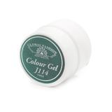 gel-color-unghii-vopsea-de-arta-distinguished-green-5gr-j114-2.jpg