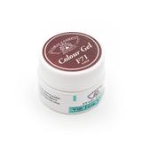 gel-color-unghii-vopsea-de-arta-seria-rose-red-global-fashion-5gr-f71-4.jpg