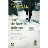 Astfel de Lucruri Marunte - Claire Keegan, Editura Pandora