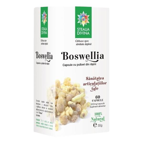 Boswellia Steaua Divina, Santo Raphael, 60 capsule