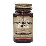 Pycnogenol 100 mg - Solgar, 30 capsule vegetale