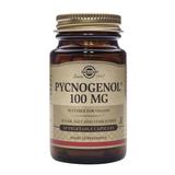 Pycnogenol 100 mg - Solgar, 30 capsule vegetale