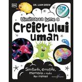 Uimitoarea lume a creierului uman - Liam Drew, editura All