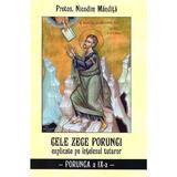 Cele zece porunci explicate pe intelesul tuturor. Porunca a IX-a - Nicodim Mandita, editura Agapis