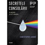 Secretele consolarii. A consola si a fi consolat - Christophe Andre, editura Trei