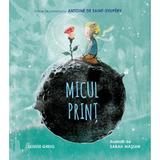 Micul Print. Bazat pe romanul lui Antoine de Saint-Exupery - Louise Greig, editura Sofiami