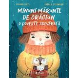 Minuni marunte de Craciun. O poveste adevarata - Erhard Dietl, Andrea Stegmaier, editura Sofiami