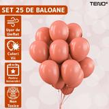 set-25-baloane-teno-pentru-petreceri-aniversari-evenimente-o-singura-dimensiune-latex-somon-2.jpg
