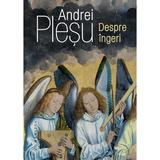 Despre ingeri - Andrei Plesu, editura Humanitas