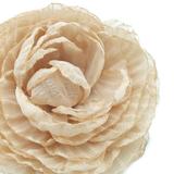 brosa-floare-eleganta-bujor-bej-din-voal-7-5-cm-corizmi-ava-3.jpg
