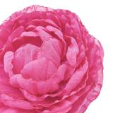 brosa-floare-eleganta-bujor-roz-din-voal-7-5-cm-corizmi-natalie-4.jpg