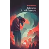 Prizonier in vidul poeziei - Nicolae Sandu, Editura Creator