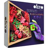 Set creativ: Succulents Passion