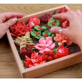set-creativ-succulents-passion-2.jpg