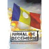 Jurnal de Decembrie - Stanomir Petrovici, editura Rovimed