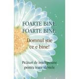 Foarte bine, foarte bine, Domnul stie ce e bine! - Adrian Chiaga, editura Egumenita