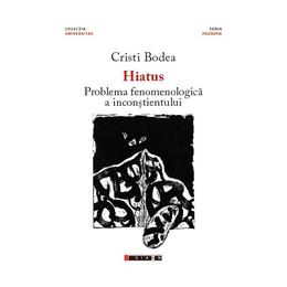 Hiatus. Problema fenomenologica a inconstientului - Cristi Bodea, editura Eikon