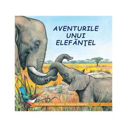 Aventurile unui elefantel - Sa cunoastem lumea inconjuratoare!, editura Biblion