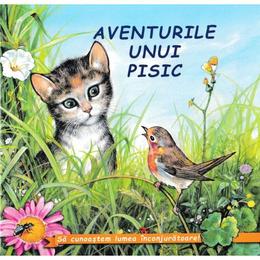 Aventurile unui pisic - Sa cunoastem lumea inconjuratoare!, editura Biblion