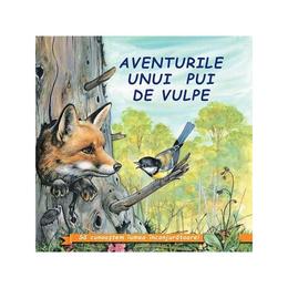 Aventurile unui pui de vulpe - Sa cunoastem lumea inconjuratoare!, editura Biblion