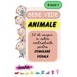 Animale. Bebe vede, editura Amona