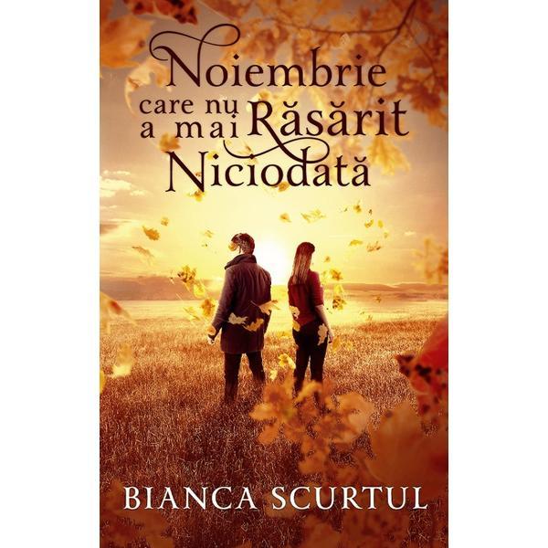 Noiembrie care nu a mai rasarit niciodata - Bianca Scurtul, editura Ink Story