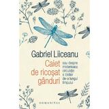 Caiet de ricosat ganduri - Gabriel Liiceanu, editura Humanitas