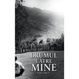 Drumul catre mine - Tibi Tarite, editura Smart Publishing