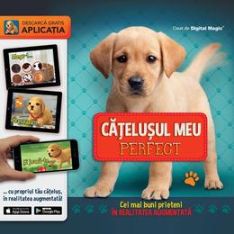 Catelusul meu perfect. cei mai buni prieteni in realitatea augmentata, editura litera
