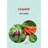 Planse: Legume, editura Ars Libri