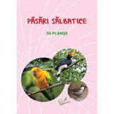 Planse: Pasari salbatice, editura Ars Libri