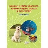 Planse: Animale si pasari domestice, animale marine, insecte si alte vietati, editura Ars Libri
