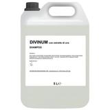 Sampon Balsam DiVinum cu Extract de Struguri, 5000 ml
