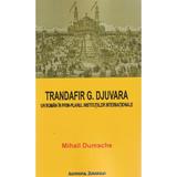 Trandafir G. Djuvara. Un roman in prim-planul institutiilor internationale - Mihail Dumache, editura Institutul European