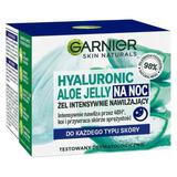 Gel Hidratant pentru Noapte - Garnier Skin Naturals Hyaluronic Aloe Jelly Night, 50 ml